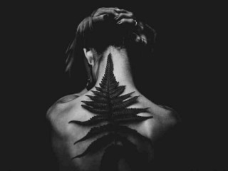 什么运动适合外出跑步锻炼？怎样通过跑步锻炼身体