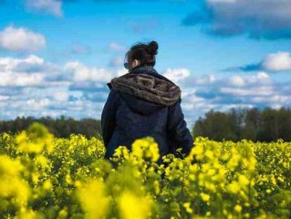 跑步锻炼后饮食(跑步期间的饮食需要注意什么跑步吃什么食物比较好)