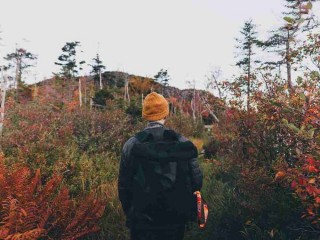 跑步锻炼身体怎么会感冒(为什么反而更容易感冒了)