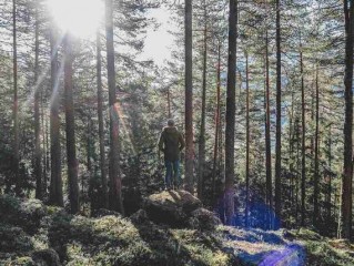 中学生跑步锻炼要求，中学生正确跑步方法