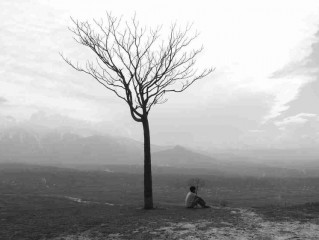 跑步锻炼身体和心率(跑步和心率是一种怎样的关系)