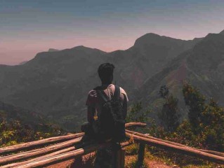 皇后在里面跑步锻炼(红皇后竞赛)